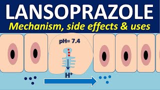 Lansoprazole  Mechanism side effects interactions and uses [upl. by Eenram]