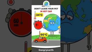 DONT LEAVE YOUR PET IN HOT CAR shorts [upl. by Bibah]