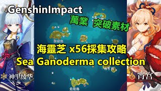 【DNY919】原神Genshin Impact  海靈芝全56個採集攻略 Sea Ganoderma x56 [upl. by Ahsenauj]