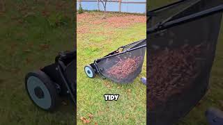 EcoFriendly CleanUp Manual Lawn Sweeper for a Perfect Garden 🍂🌱 shorts [upl. by Gene]