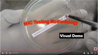 MIC Testing Methodology Demo without Narration [upl. by Atikram293]