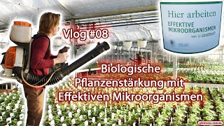 Vlog 08  Biologische Pflanzenstärkung mit Effektiven Mikroorganismen [upl. by Nilla]