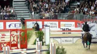 ♂ Hickstead jumping stallion KWPN by Hamlet [upl. by Orimar]