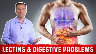 High amp Low Lectin Foods amp Digestive Problems Explained by DrBerg [upl. by Nner]