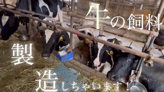 飼料工場TMRの製造から配達！動画の最後は牛舎と牧場牛さんの様子をお届け！ [upl. by Kraska]