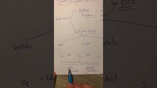 Part2 Congenital Heart Disease ជំងឺបេះដូងប្រហោងពីកំនេីត Dr Prom Vireak [upl. by Naesar]