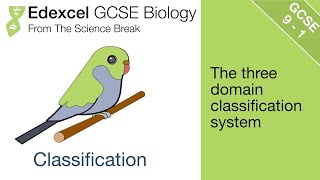 Edexcel GCSE Science and Biology  Classification [upl. by Ailadgim]