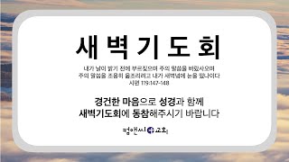 컴앤씨교회 2024104 새벽기도회ㅣ열왕기하 18장 116절ㅣ이임엘 목사 [upl. by Trillbee]