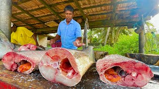 Wow Nature Fishing village fishermans and daily Sea life in Sri Lanka [upl. by Keegan]