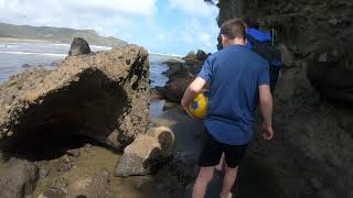 Exploring the stunning beauty of Bethells Beach part 5 🌊✨ BethellsBeach NZAdventures BeachVibes [upl. by Eihcra]