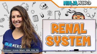 Renal System Structure amp Function [upl. by Thedric927]