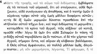 Koine Greek  Matthew 111 [upl. by Fiore]