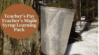 MAPLE SYRUP PACK ON TEACHERS PAY TEACHERS  TODDLER amp PRESCHOOL SKILLS [upl. by Nisay]