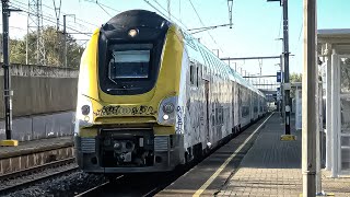 Train at Lembeek Station 4K [upl. by Peirce626]