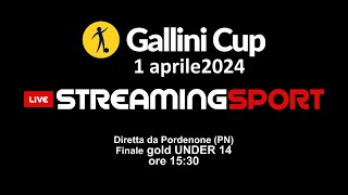 GALLINI CUP finale Gold Under 14 Pordenone PN [upl. by Airres827]