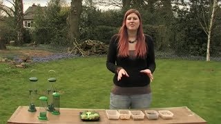 The Wildlife Garden Project  How to set up your bird feeders [upl. by Nalhsa685]