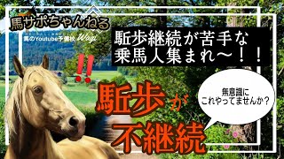 【乗馬の大損】駈歩が続かない人がやってしまう4つのミスとは！？ [upl. by Rephotsirhc]