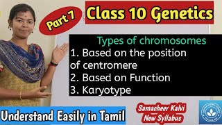 Types of Chromosomes based on the position of centromere and based on the function Karyotype [upl. by Waal]