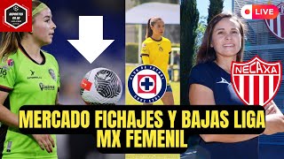 🚨MERCADO de FICHAJES liga mx Femenil XIMENA VIÑOLAS a CRUZ AZUL  Guadalupe Worbis DT necaxa [upl. by Sclar]