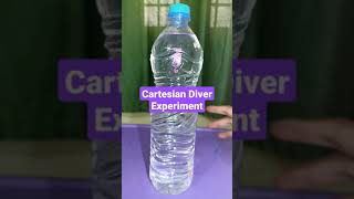 Cartesian Diver Experiment using Straw and Paper Clips [upl. by Buxton]