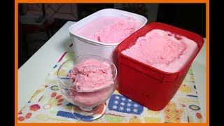 4 LITROS de sorvete com apenas 1 Gelatina Testando a Receita sera que é Bom [upl. by Sheri]