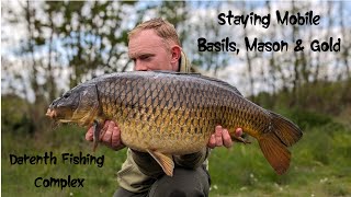 Basils Mason amp Gold  Staying mobile at Darenth Fishing Complex [upl. by Ylliw]