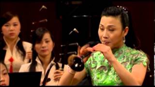 Grand Chinese New Year Concert 2006 Suona solo by Hou Yanqiu [upl. by Aehc548]