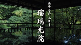 京都 瑠璃光院  Kyoto RurikoinTemple  2023春の特別拝観  青もみじ  新緑  4K60fps [upl. by Elyrrad]