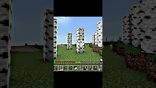 Minecraft Moment [upl. by Egas]