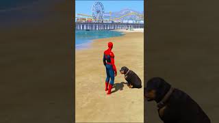 Dog Faithfulness For His Owner Spiderman  Grand Theft Auto  GTA [upl. by Kallman]