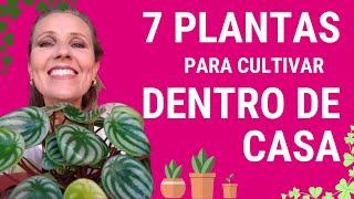 7 PLANTAS DE SOMBRA PARA TER DENTRO DE CASA [upl. by Radburn691]