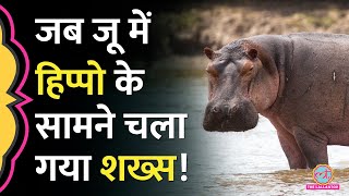 Lucknow Zoo में Hippo के हमले में ऐसे हुई शख्स की मौत  Zoo Animals [upl. by Asira]