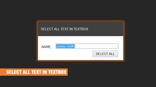 How to Select All Text in TextBox Using C [upl. by Panthia217]