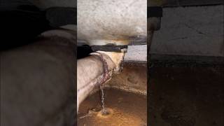 What Is Leaking Inside This Wall plumbing shorts [upl. by Ada]