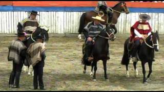 SERIE CAMPEONES RODEO CRIOLLO FUTRONO TEMPORADA 2015 2016 [upl. by Iroc]