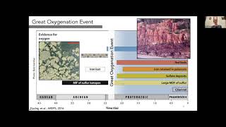 Linking the surface and igneous S isotope records across the GOE  Dr Claire Bucholz [upl. by Shields]