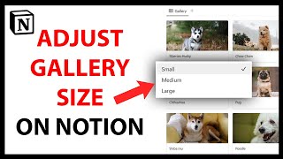 How to Adjust Gallery Size in Notion [upl. by Conn]