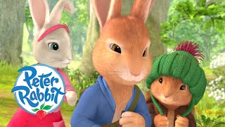 Peter Rabbit  Tales of the Three Mischievous Rabbits  1 hour of Adventures  Cartoons for Kids [upl. by Cadel]