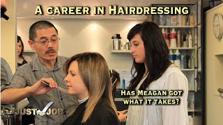 Hairdressing Careers [upl. by Nylegna]