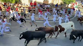 Vídeo del primer encierro de las fiestas de Tafalla 2024 [upl. by Pevzner]