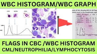 WBC HISTOGRAM FOR STUDENTSWLWUT1T2F1F2 F3AG FLAGS IN WBC HISTOGRAM WBC GRAPH IN CBC PRINT [upl. by Aisak]