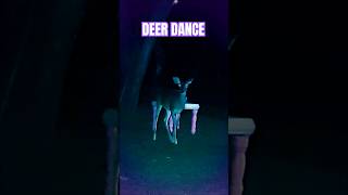 DEER DANCE System of a Down youtubeshorts shorts short rockmusic shortsvideo shortsfeed deer [upl. by Yendroc245]