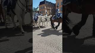 Changing of the Royal Guards in Stockholm  stockholm royal sweden horse parade guard fyp fy [upl. by Eiclud]