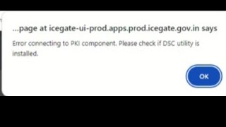 how to resolved pki component issue on icegate portal [upl. by Drolyag158]