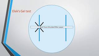 Diphtheria and Elek’s Gel Precipitation test [upl. by Erdeid]