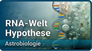 RNAWelt Hypothese • Entstehung des Lebens • ProtoRibosome • Astrobiologie 4  Aleksandar Janjic [upl. by Eselrahc]