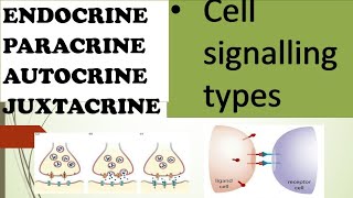 ENDOCRINE PARACRINE AUTOCRINE AND JUXTACRINE  CELL SIGNALLING TYPES OVERVIEW IN HINDI [upl. by Virginie]