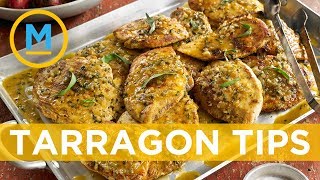 How to properly use Tarragon in butter chicken and other simple dishes  Your Morning [upl. by Gibun]