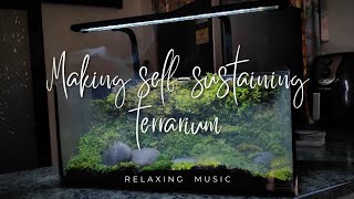 quotCreating a SelfSustaining Terrarium in an Aquarium Tank 🌿🐟  Ecosystem Projectquot [upl. by Sitoeht]