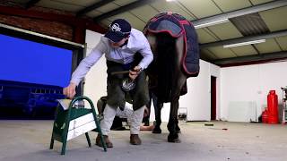 Shoeing horse in the forge [upl. by Kelcy]